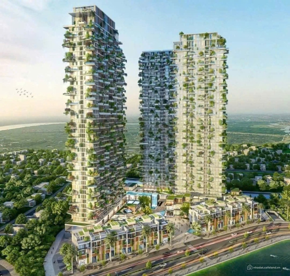 eco-retreat-cao-tang